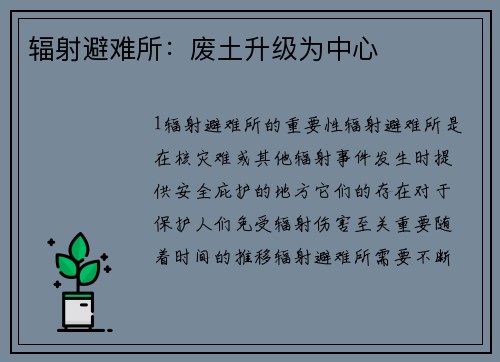 辐射避难所：废土升级为中心
